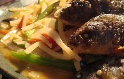 风味云南，你好“笋”啊，甜竹笋苗多少钱一棵