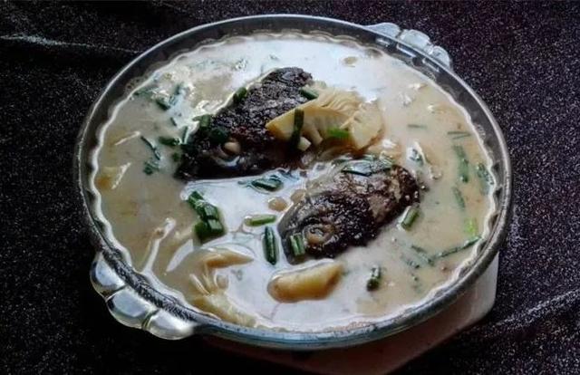 风味云南，你好“笋”啊，甜竹笋苗多少钱一棵