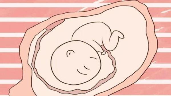 孕妇如何听胎教音乐，孕中期如何进行音乐胎教（这3个方法既简单又好用）