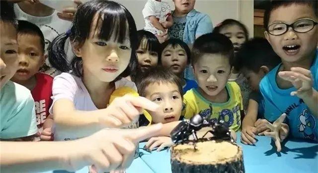 元秒杀网(58秒杀网)"