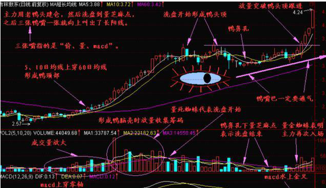 新手如何选股赚钱，新手如何选股赚钱快？