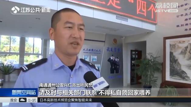 小熊猫能当宠物吗，可不可以养小熊猫当宠物（动物园工作人员一看）