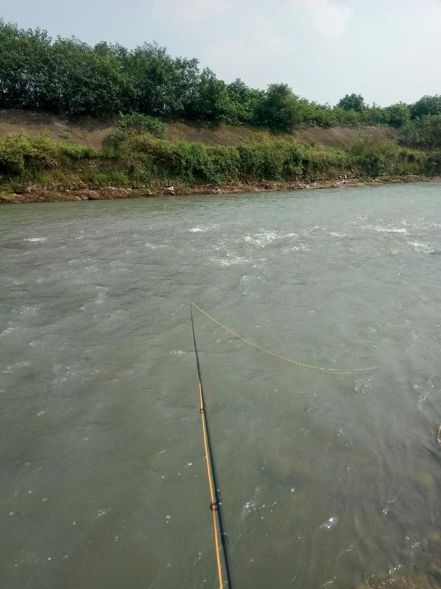 水库如何钓长鳍鱲，长鳍鱲探钓记不轻易放弃