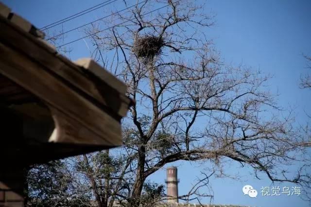 内蒙古乌海湖全景图，内蒙古乌海景区（乌海有个地方叫“六五四”）