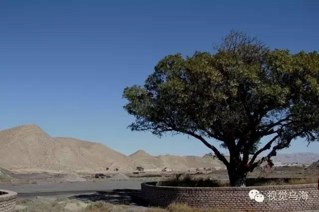 内蒙古乌海湖全景图，内蒙古乌海景区（乌海有个地方叫“六五四”）