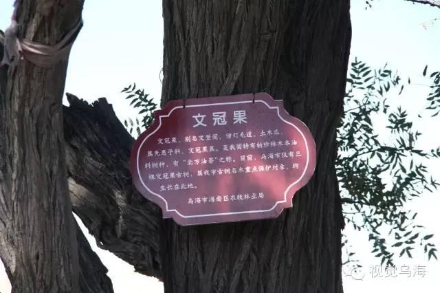 内蒙古乌海湖全景图，内蒙古乌海景区（乌海有个地方叫“六五四”）