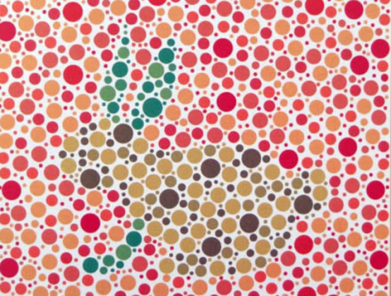 色盲色弱测试图大全，色弱测试图及答案（5张色盲色弱检测图）