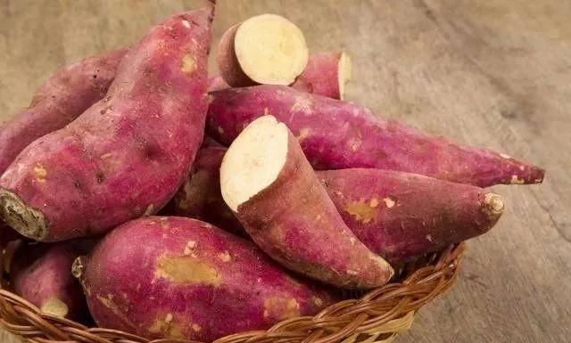 室内存放红薯最简单方法，室内存放红薯最简单方法是什么（还在为红薯储藏易腐烂发愁吗）