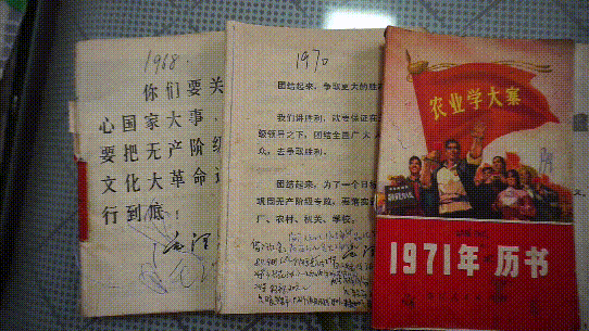 山枝的作用和功效，山枝果的功效和作用（诸暨73岁老人记录50年来的天气）