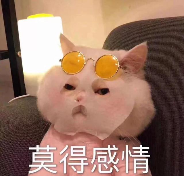 透真护肤品怎么样，透真面膜怎么样（深圳消委会终于觅得“膜王”）