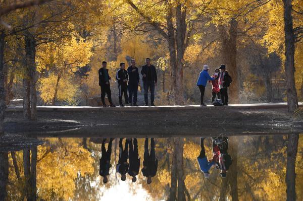 胡杨林在什么地方?哪个省，胡杨林在什么地方额济纳在哪个省_阿拉善胡杨林在什么地方（甘肃金塔：金秋胡杨美如画）