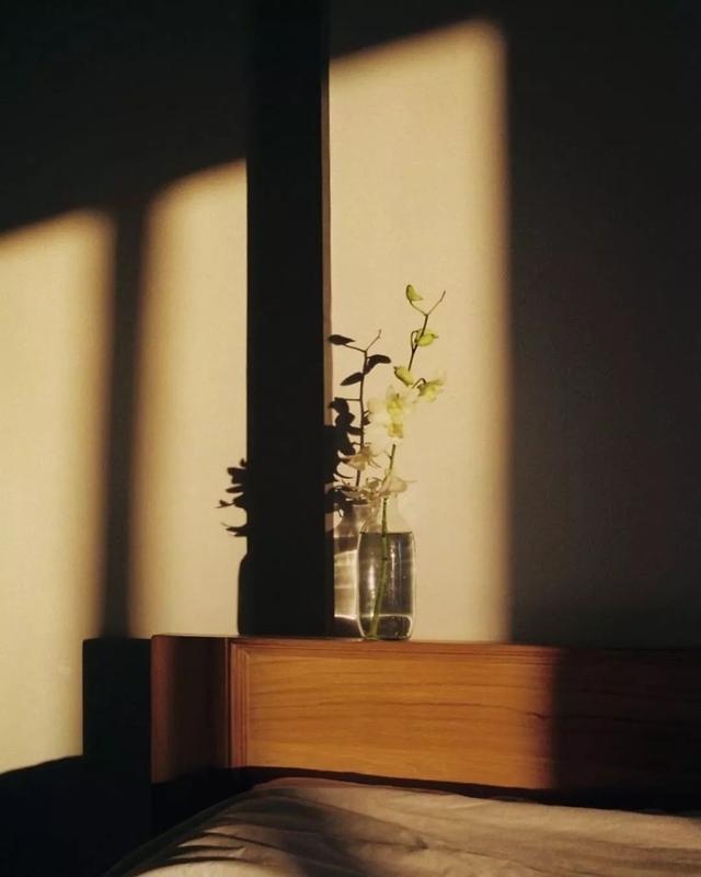 ins星星美图，ins满脸星星特效（这些ins摄影师拍的光影）