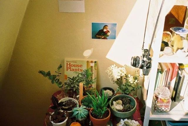 ins星星美图，ins满脸星星特效（这些ins摄影师拍的光影）