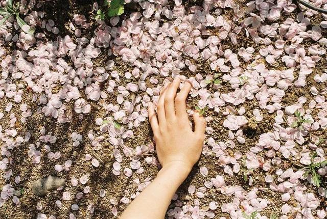 ins星星美图，ins满脸星星特效（这些ins摄影师拍的光影）