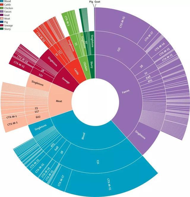 pda医学上是什么意思，pda是什么（癌症、微生物药物、脑肠轴、皮肤-肠道轴、共生病毒、阴道微生物、菌群免疫互作、肠道黏液、粪菌移植）