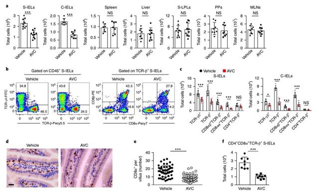 pda医学上是什么意思，pda是什么（癌症、微生物药物、脑肠轴、皮肤-肠道轴、共生病毒、阴道微生物、菌群免疫互作、肠道黏液、粪菌移植）