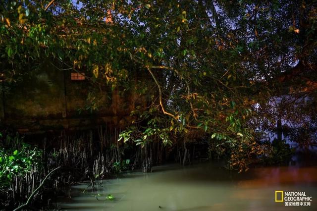 湄公河在哪，湄公河在哪里入海（心酸湄公河）