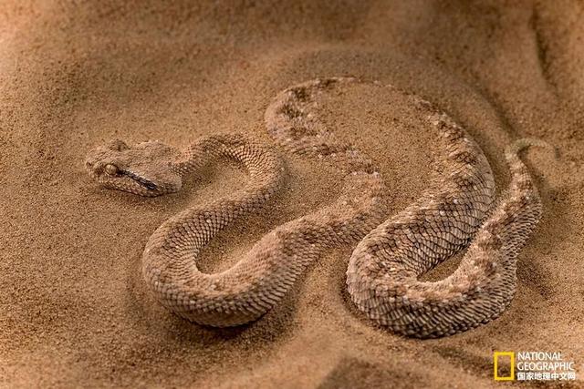 湄公河在哪，湄公河在哪里入海（心酸湄公河）