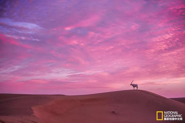 湄公河在哪，湄公河在哪里入海（心酸湄公河）