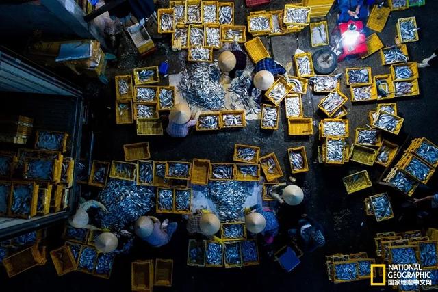 湄公河在哪，湄公河在哪里入海（心酸湄公河）