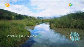 空镜头画面概念，空镜头是指什么样的画面（综艺节目“空镜头剪辑白皮书”）