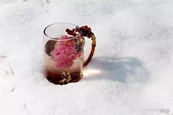 玫瑰花茶的作用有哪些，玫瑰花茶有何作用（实用，玫瑰花茶的功效与作用）