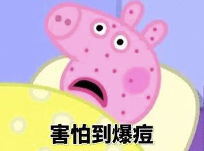 会飞的蟑螂是怀孕了吗，蟑螂会飞嘛（终于和这种让你半夜失声尖叫的生物说债见了）