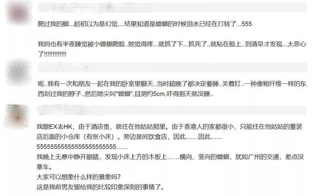 会飞的蟑螂是怀孕了吗，蟑螂会飞嘛（终于和这种让你半夜失声尖叫的生物说债见了）