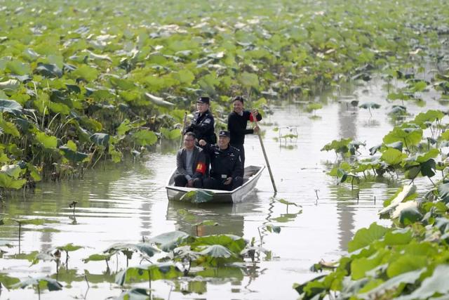 沙洋县哪个镇人口最多，沙洋县各个镇人口（沙洋鱼米之乡开创“一校三网”的新模式）