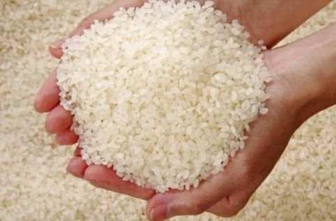 大米长虫子有什么方法可以处理，大米生虫的处理方法（米放久了会有虫子）