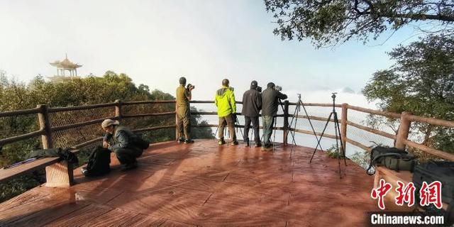 丹霞山海拔多少米，丹霞山重要景点有哪些（广东韶关丹霞山进入观云海最佳时期）