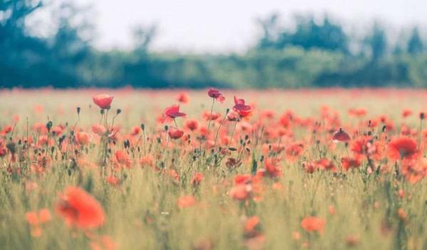 如何做一名乐观向上的人，如何让自己乐观向上（怎样做一个积极向上的人）