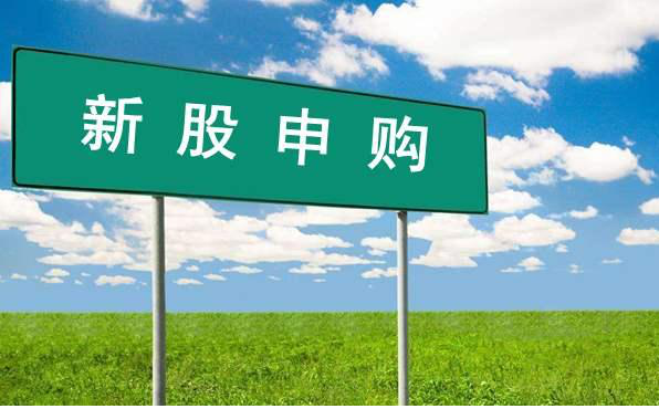如何提高打新股中签率，打新怎么提高中签率（我一年中签十多只新股的经验告诉你）