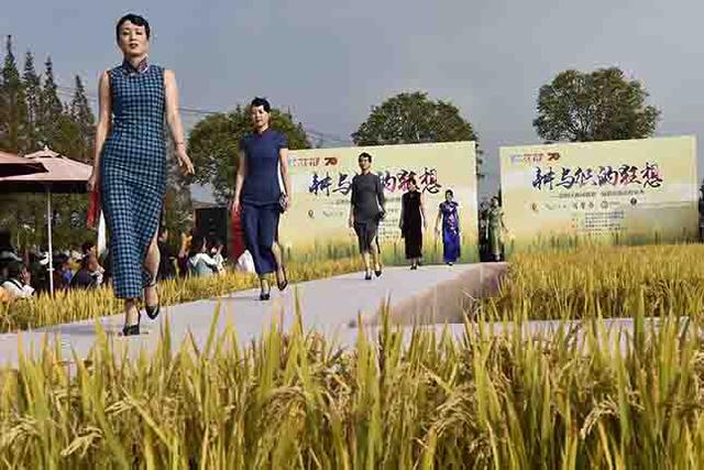 走秀有创意的主题名称，国风走秀节目名（传统农耕与时尚走秀来了一场“碰撞”）