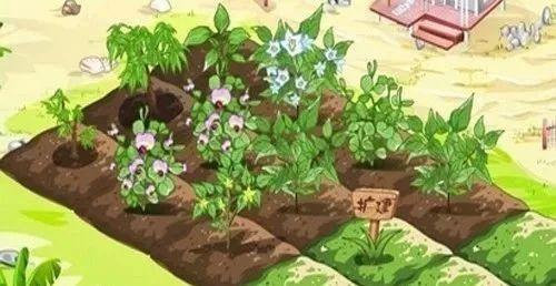 facebook是什么意思，facebook是什么意思英语翻译（一文读懂人人网与Facebook的前世今生）