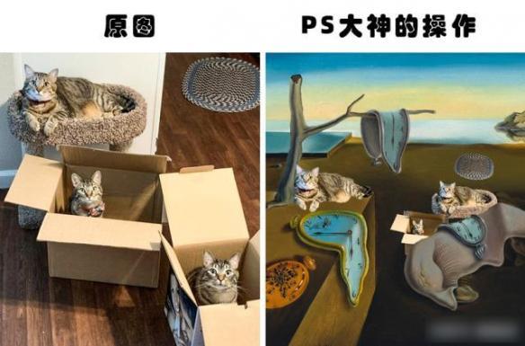 玩图趣味P图app下载安装，最好用的玩图趣味P图app下载安装到手机v 3.8（盘点29张国外网友的搞笑PS骚操作）