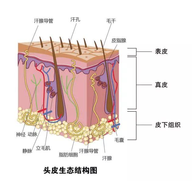 脸出油特别严重怎么办，脸上出油很严重怎么办（头发爱出油怎么办）