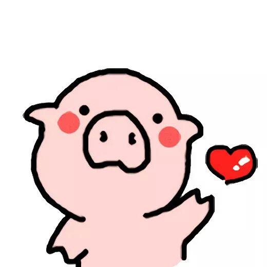 阴曹地府代表什么生肖，阴曹地府打一最佳生肖（属猪的朋友们注意了）