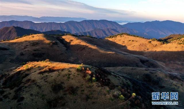 大巴山在哪里，大巴山在哪里属哪个省（大巴山神田草甸）