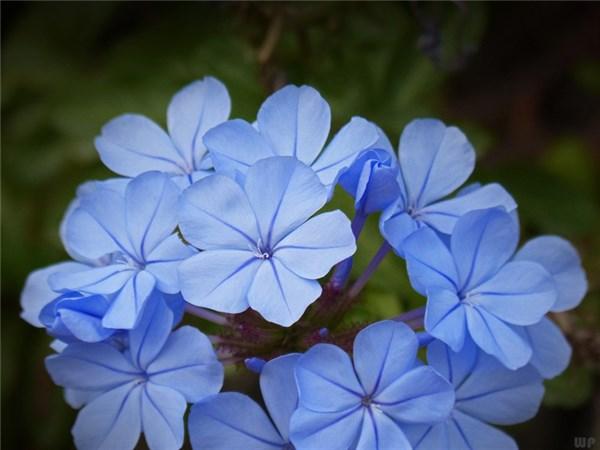 生活压力大心累的句子，心烦心累压力大句子（朋友圈很火的人生感悟）