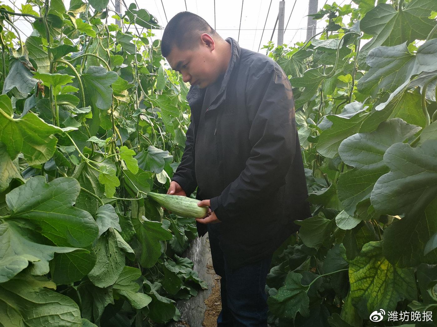 青州刘胡同家电维修 “双11”当天潍坊市电商销量再创新高，是去年同期的数倍