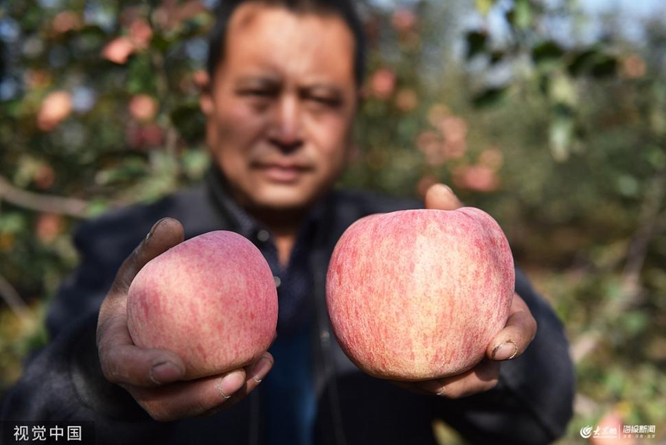 日照家电维修培训拆装学校 日照：家电维修师玩“跨界”种出“苹果界”网红