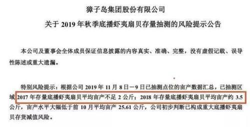 扇贝是什么意思，女生的扇贝是什么意思（獐子岛的扇贝是我见过最有纪律性的动物）