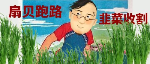 扇贝是什么意思，女生的扇贝是什么意思（獐子岛的扇贝是我见过最有纪律性的动物）