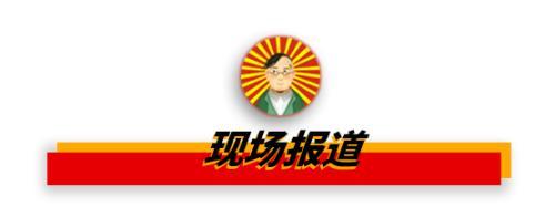 扇贝是什么意思，女生的扇贝是什么意思（獐子岛的扇贝是我见过最有纪律性的动物）