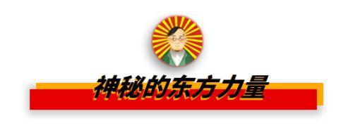 扇贝是什么意思，女生的扇贝是什么意思（獐子岛的扇贝是我见过最有纪律性的动物）