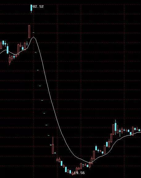 扇贝是什么意思，女生的扇贝是什么意思（獐子岛的扇贝是我见过最有纪律性的动物）