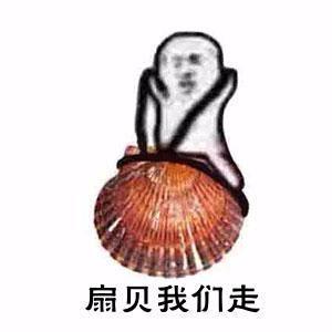 扇贝是什么意思，女生的扇贝是什么意思（獐子岛的扇贝是我见过最有纪律性的动物）