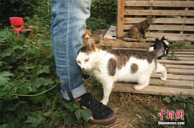 视奸是什么意思，sj什么意思（这些东西竟然是全国统一的）