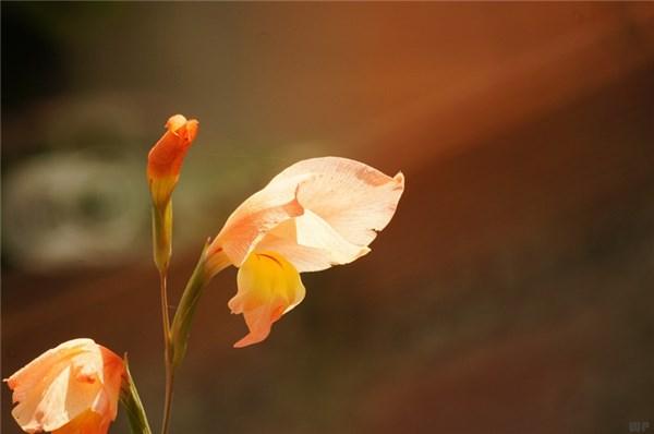 教你如何看清一个人的本质很靠谱的，如何了解一个人的本质（认清一个人，其实看三点就够了）